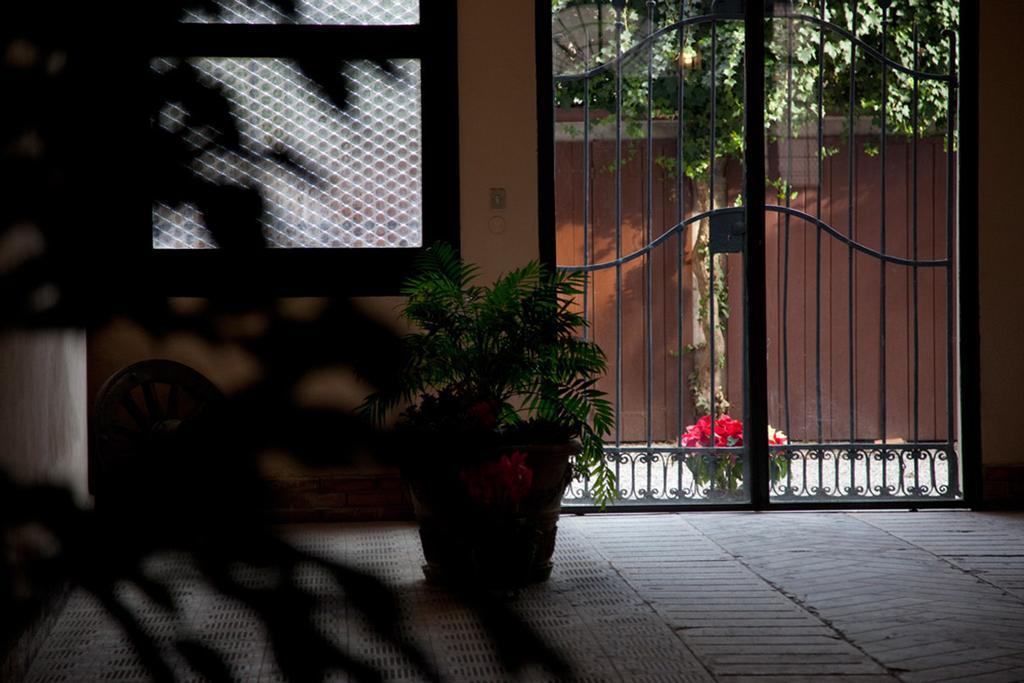 Le Case Cavallini Sgarbi Di Rina Cavallini Ferrara Exterior foto
